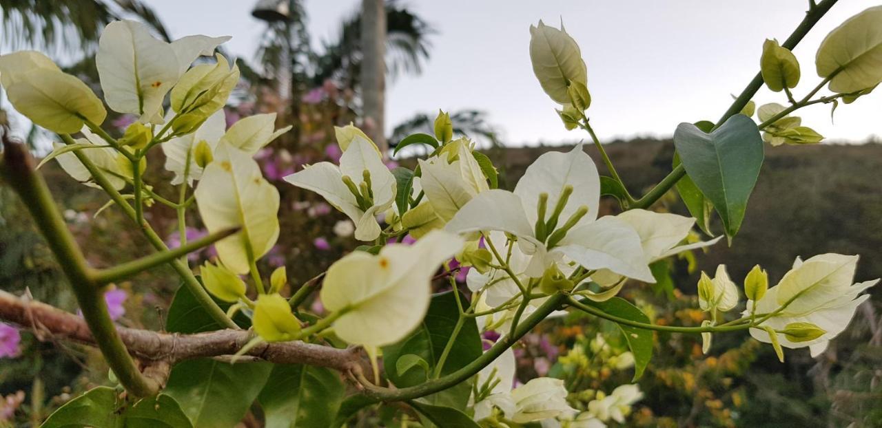 הוילה Vale Das Maritacas Teresópolis מראה חיצוני תמונה
